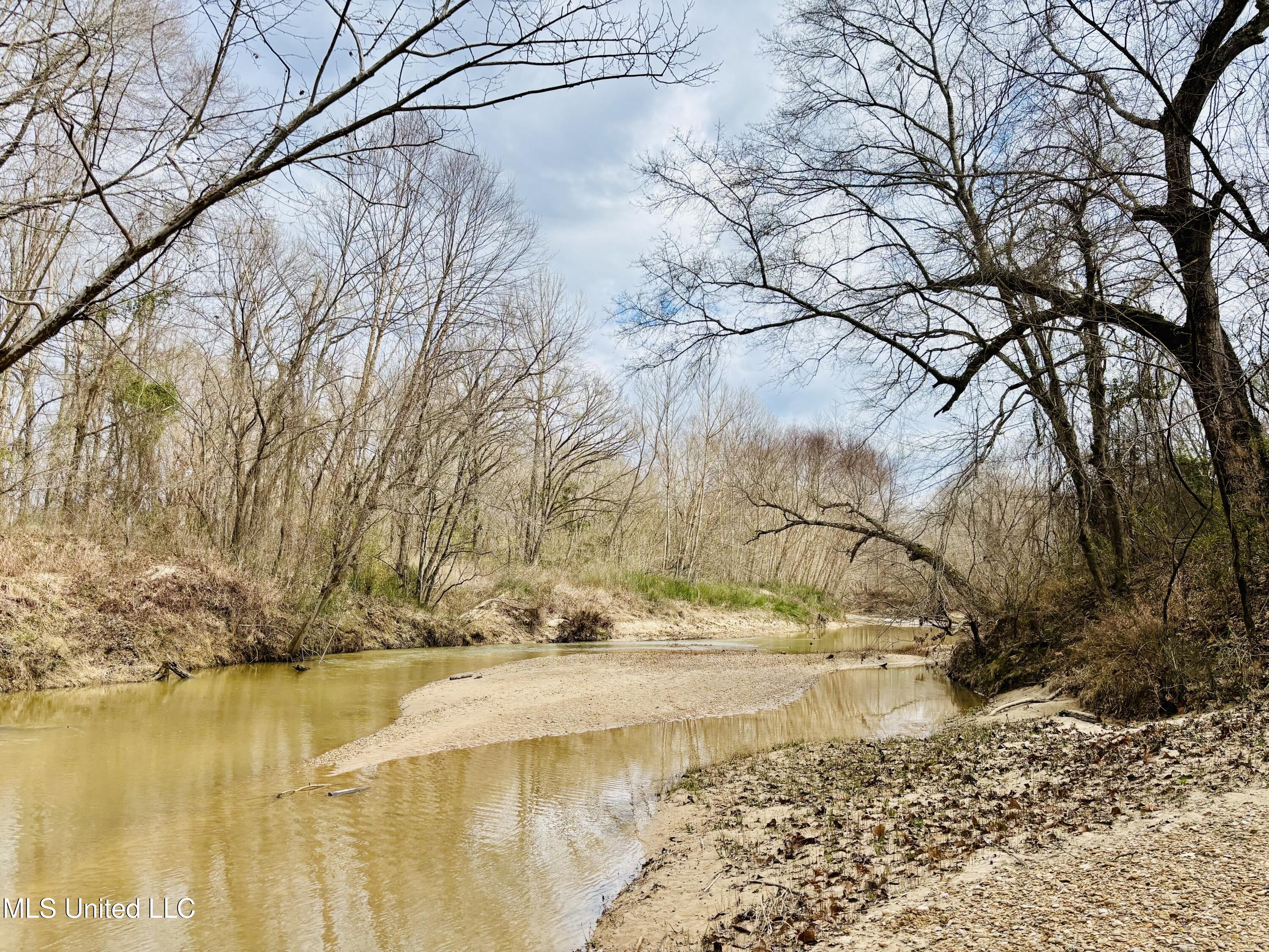 0 Kimbrough Road Lexington, MS 39095 - Photo 1 of 38 creek