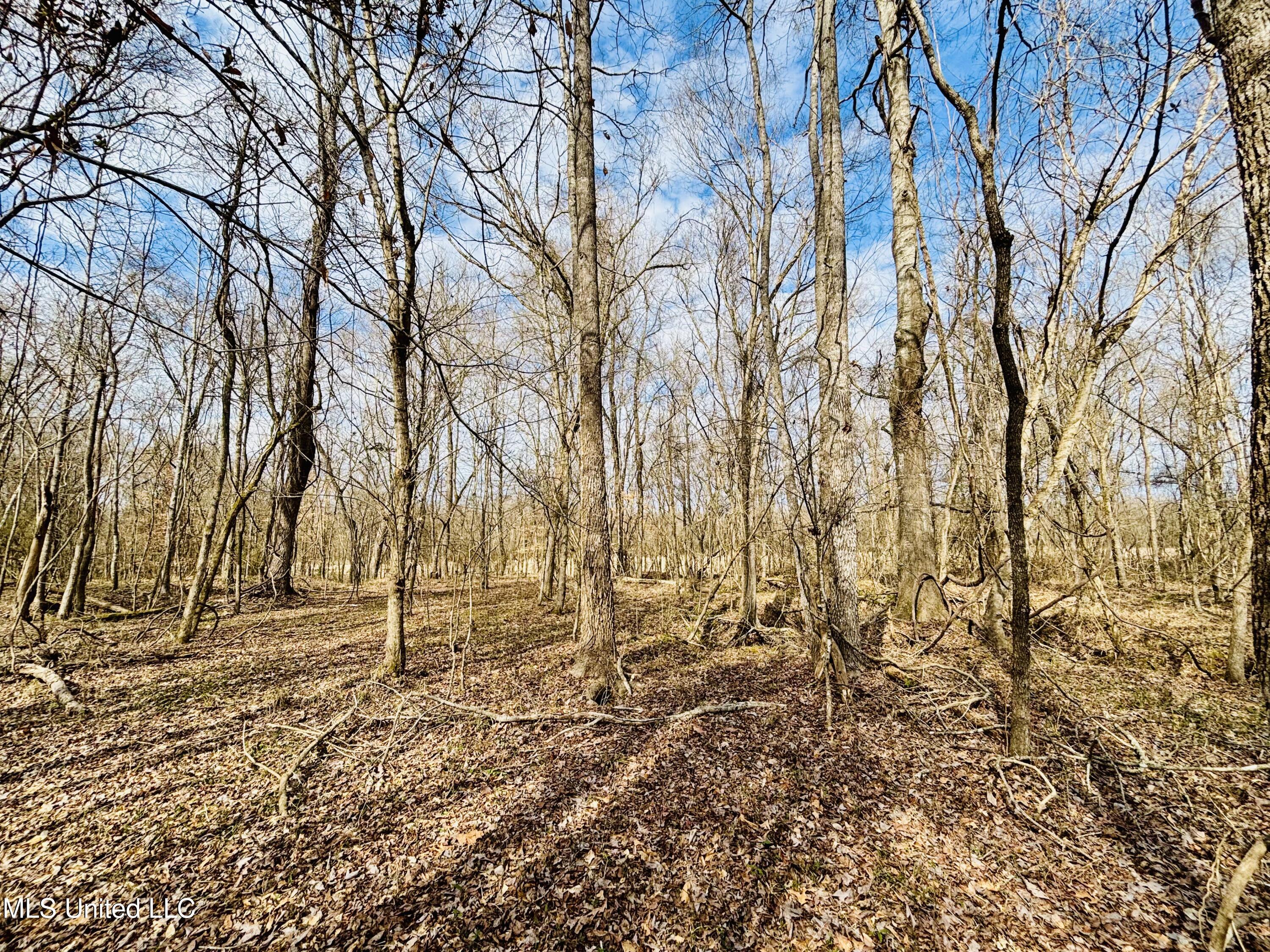 0 Kimbrough Road Lexington, MS 39095 - Photo 17 of 38 17