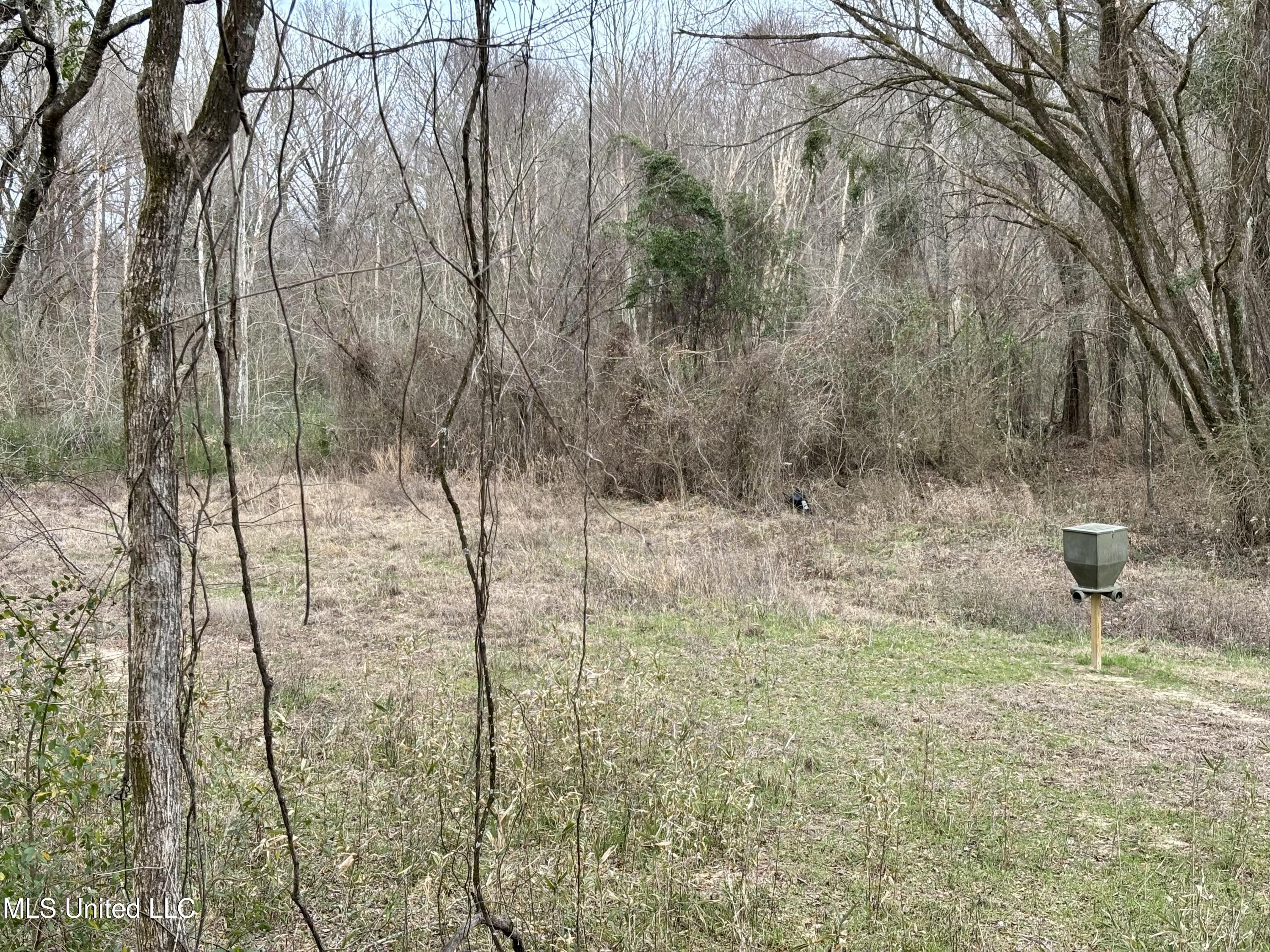 0 Kimbrough Road Lexington, MS 39095 - Photo 25 of 38 IMG_0244