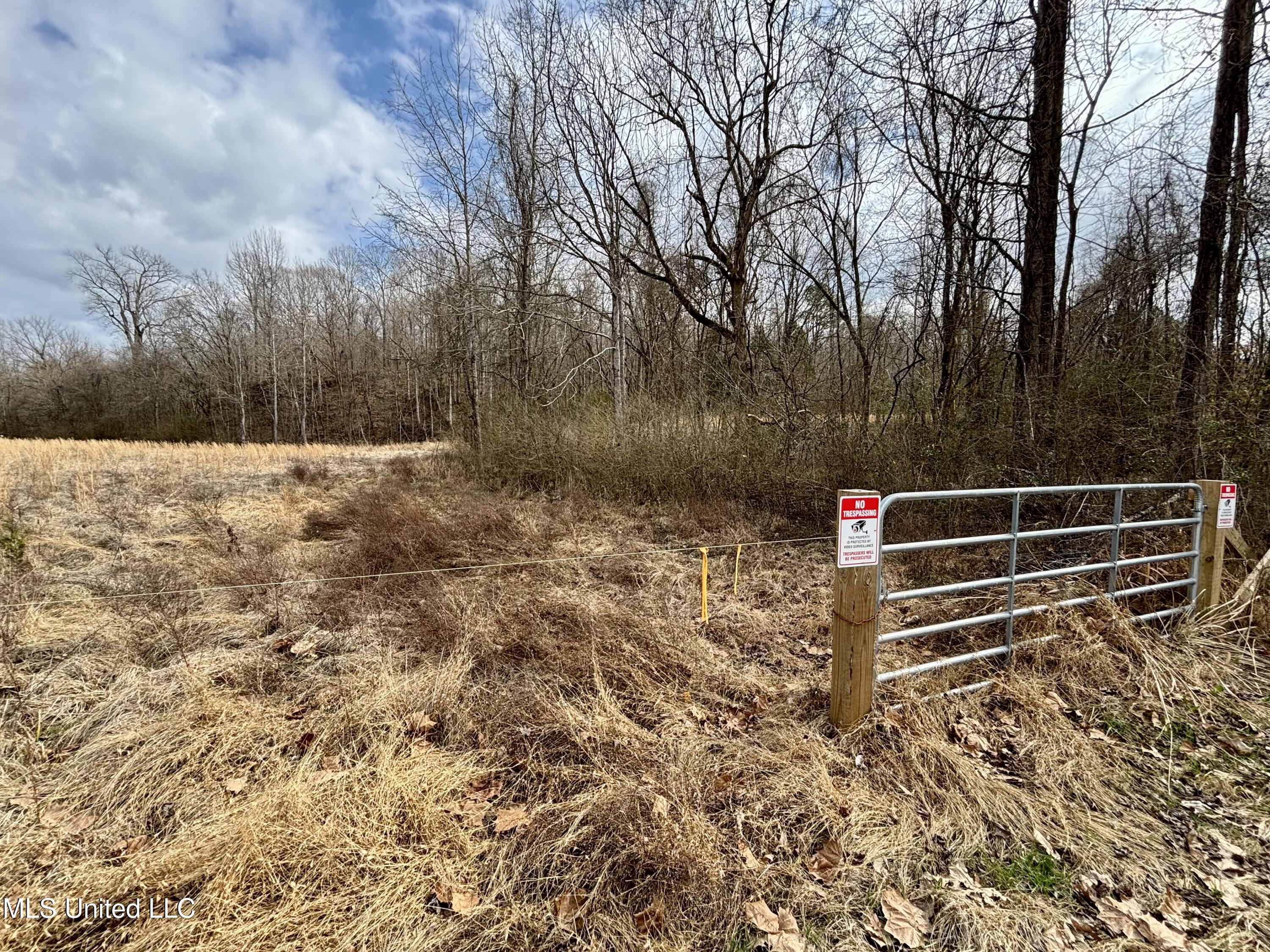 0 Kimbrough Road Lexington, MS 39095 - Photo 26 of 38 IMG_0264