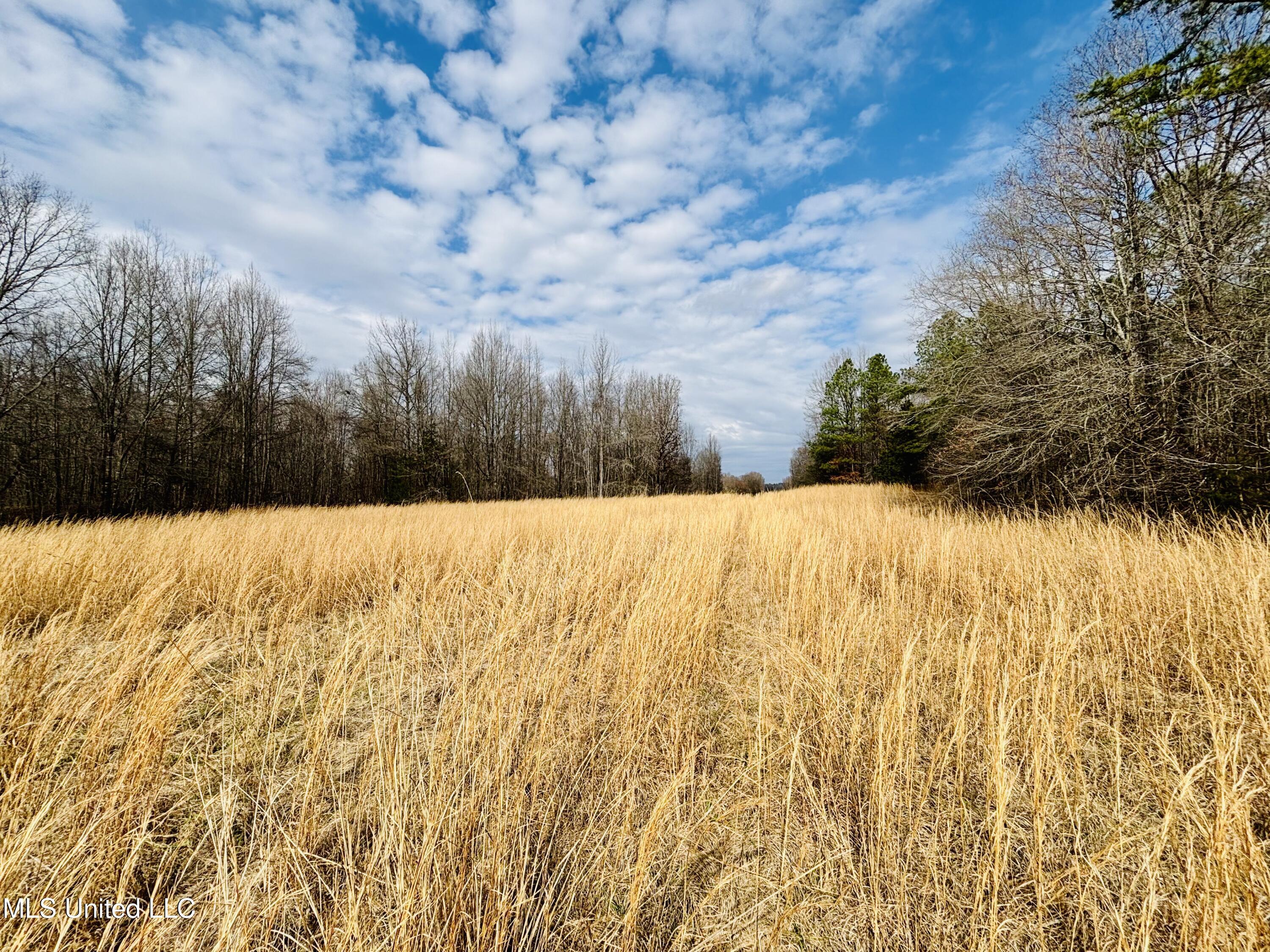 0 Kimbrough Road Lexington, MS 39095 - Photo 3 of 38 3