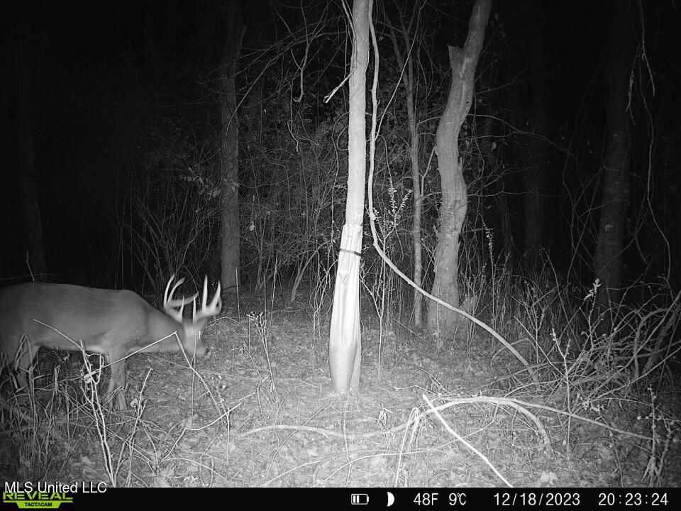 0 Kimbrough Road Lexington, MS 39095 - Photo 34 of 38 IMG_1434