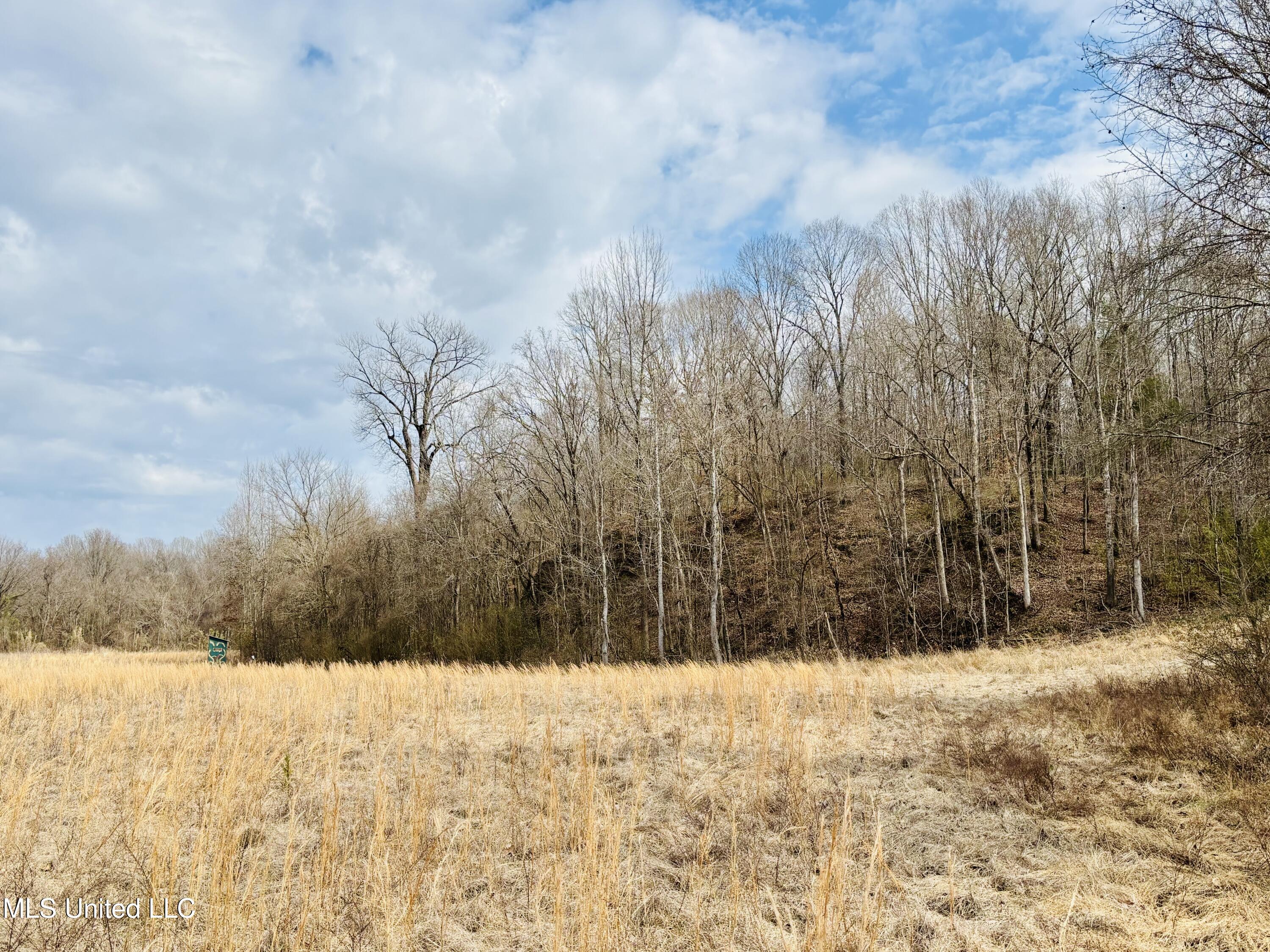 0 Kimbrough Road Lexington, MS 39095 - Photo 4 of 38 4