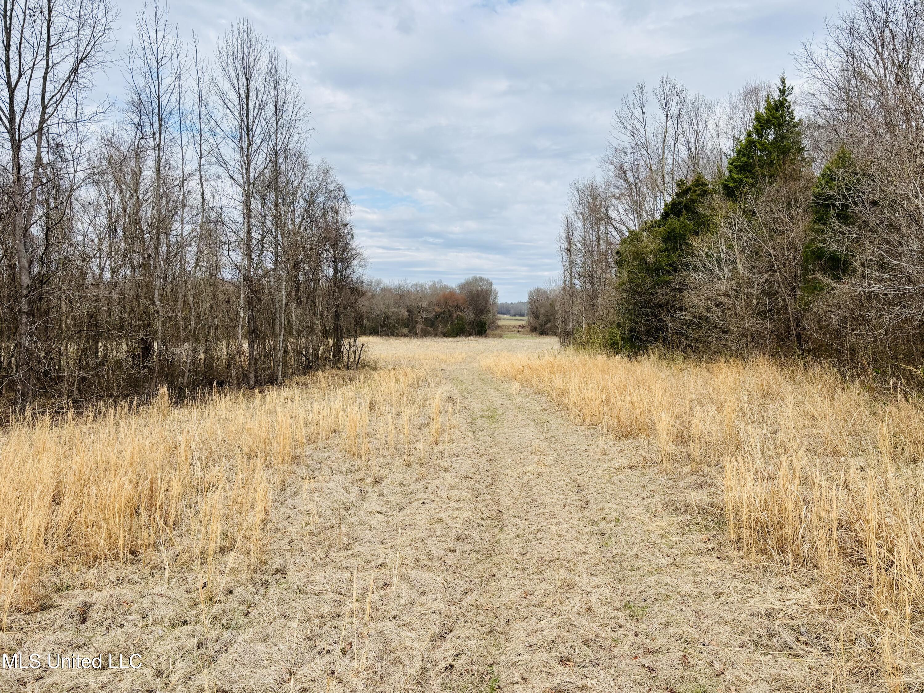0 Kimbrough Road Lexington, MS 39095 - Photo 5 of 38 5