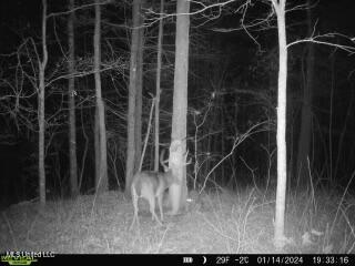 0 Kimbrough Road Lexington, MS 39095 - Photo 6 of 38 6
