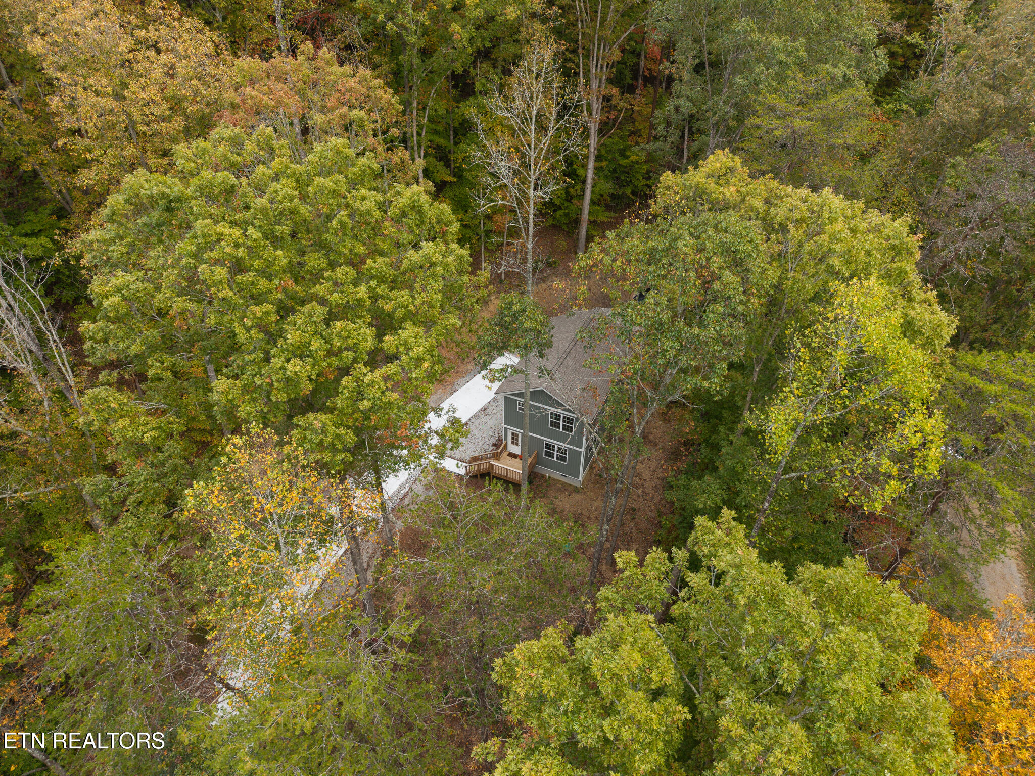 170 Lone Mountain Road Andersonville, TN 37705 - Photo 30 of 33 In the trees living