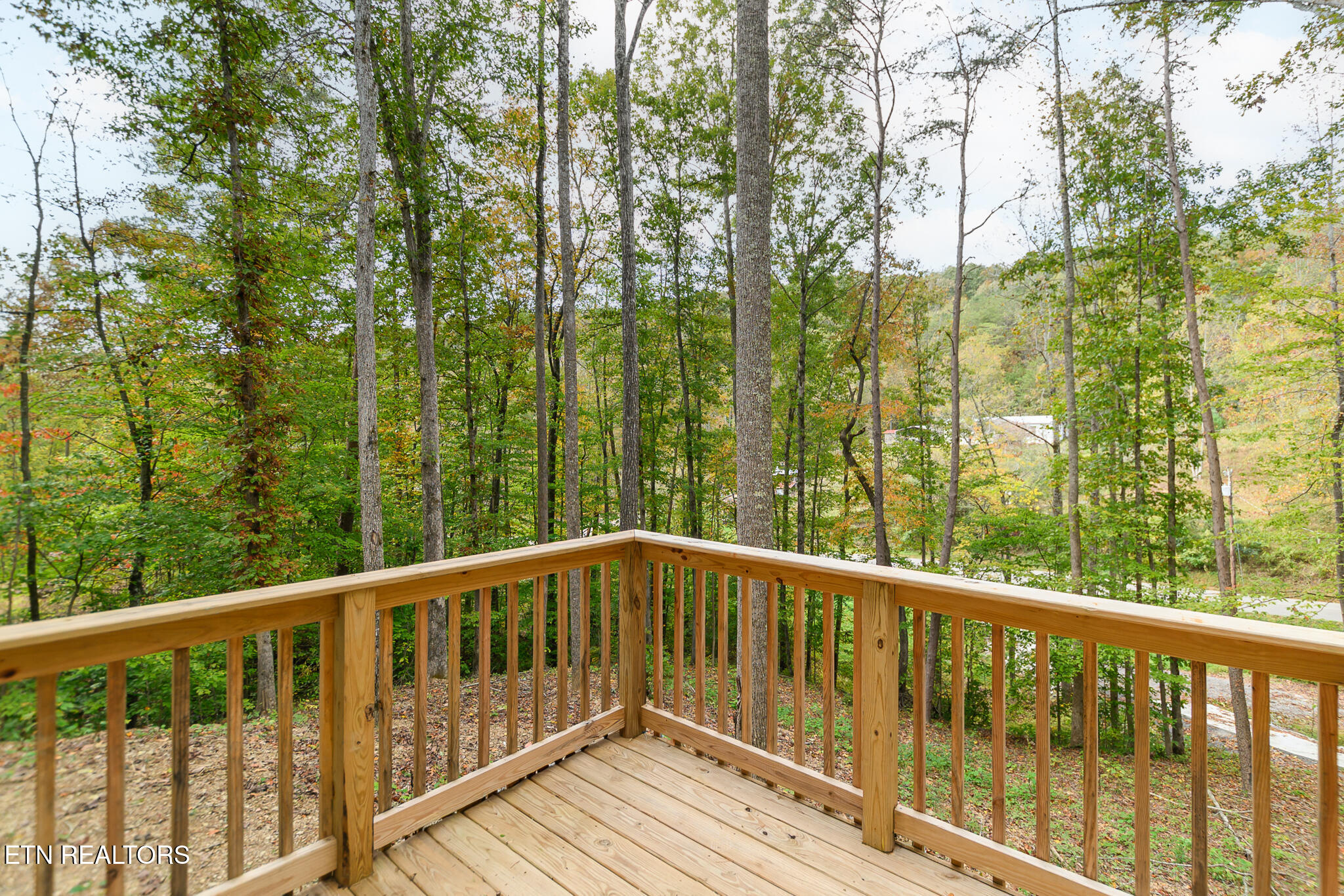 170 Lone Mountain Road Andersonville, TN 37705 - Photo 7 of 33 Front Deck