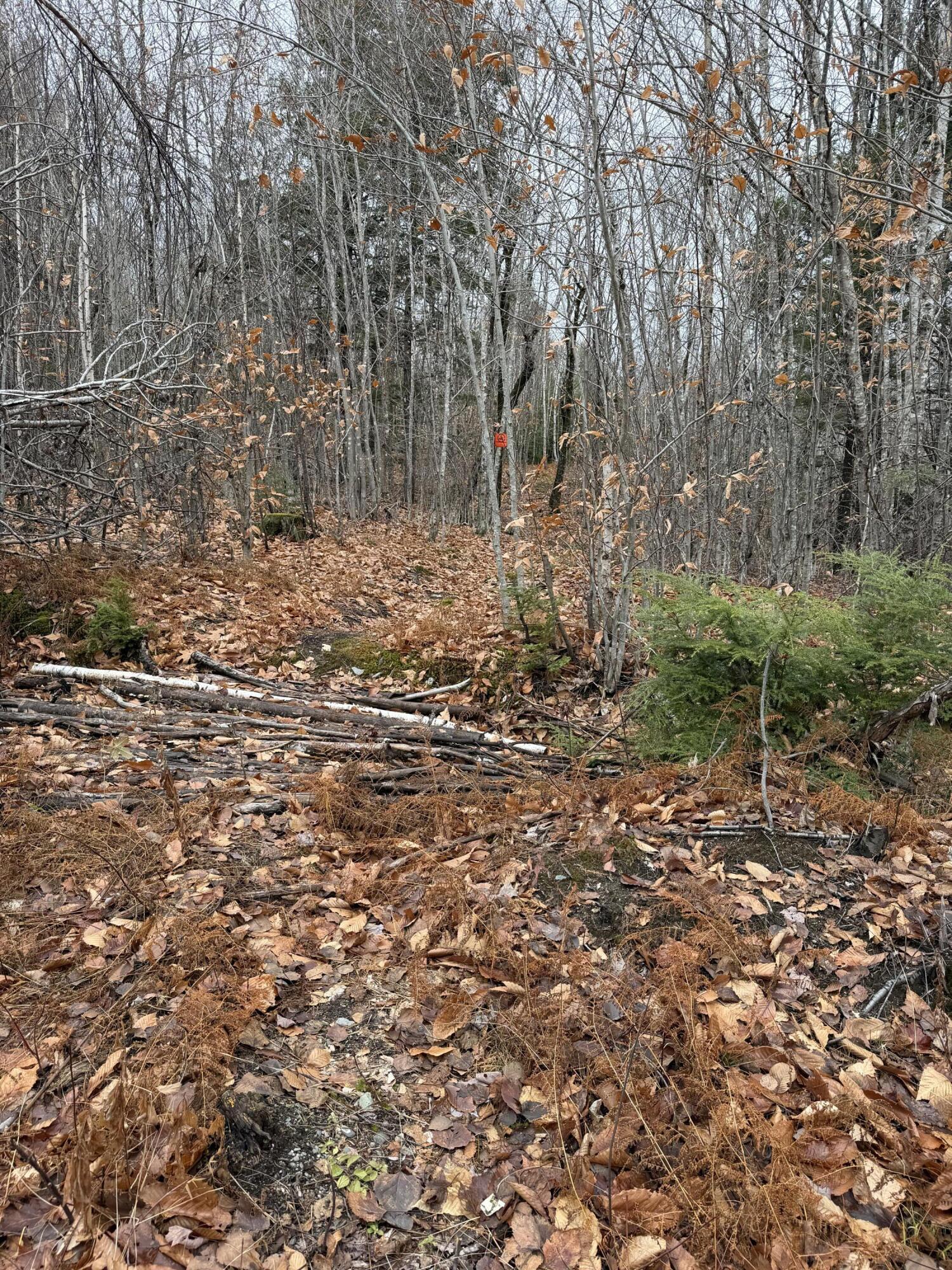 M5-l27 Pond Road Abbot, ME 04406 - Photo 4 of 15