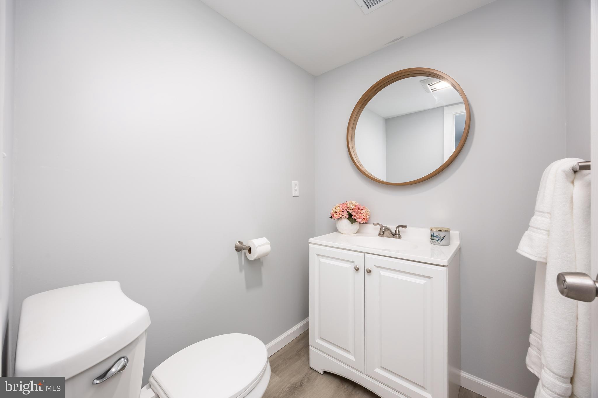 8359 Newark Road Newark, MD 21841 - Photo 26 of 53 a bathroom with a toilet a sink and a mirror