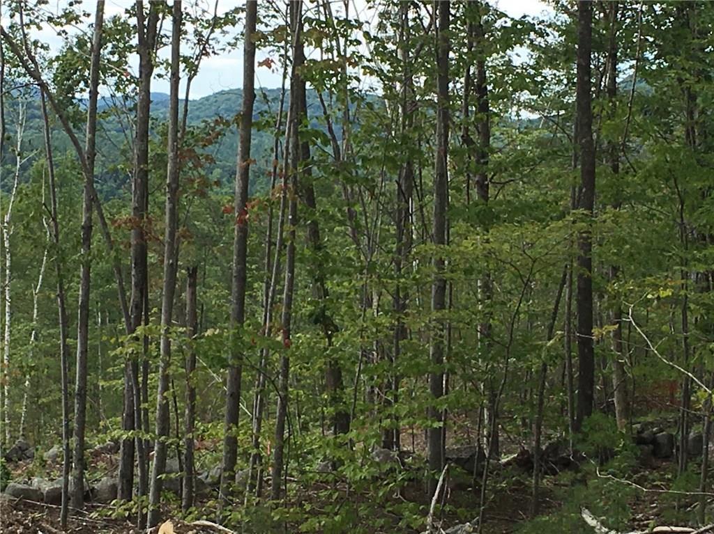 150 Ben Gilpatrick Road Hiram, ME 04041 - Photo 18 of 28 Photo