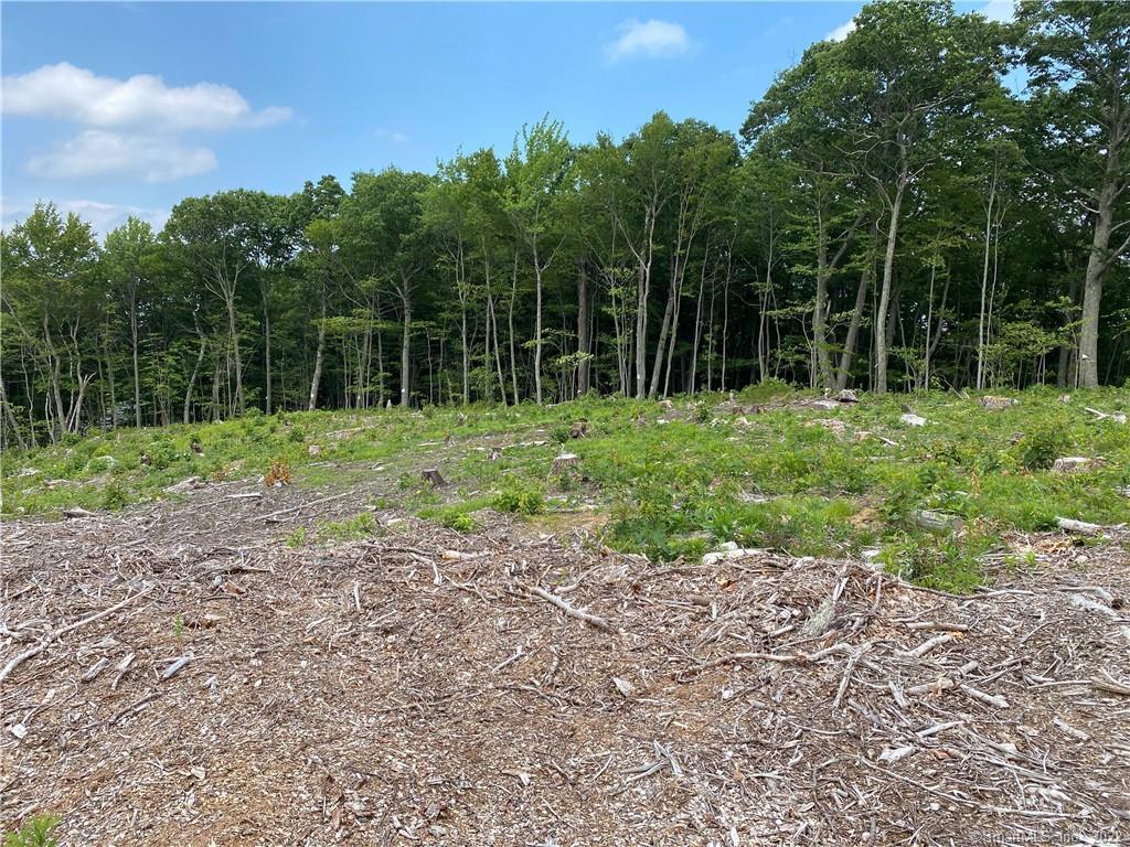 418 Saw Mill Road Burlington, CT 06013 - Photo 1 of 1 Gallery Image 1