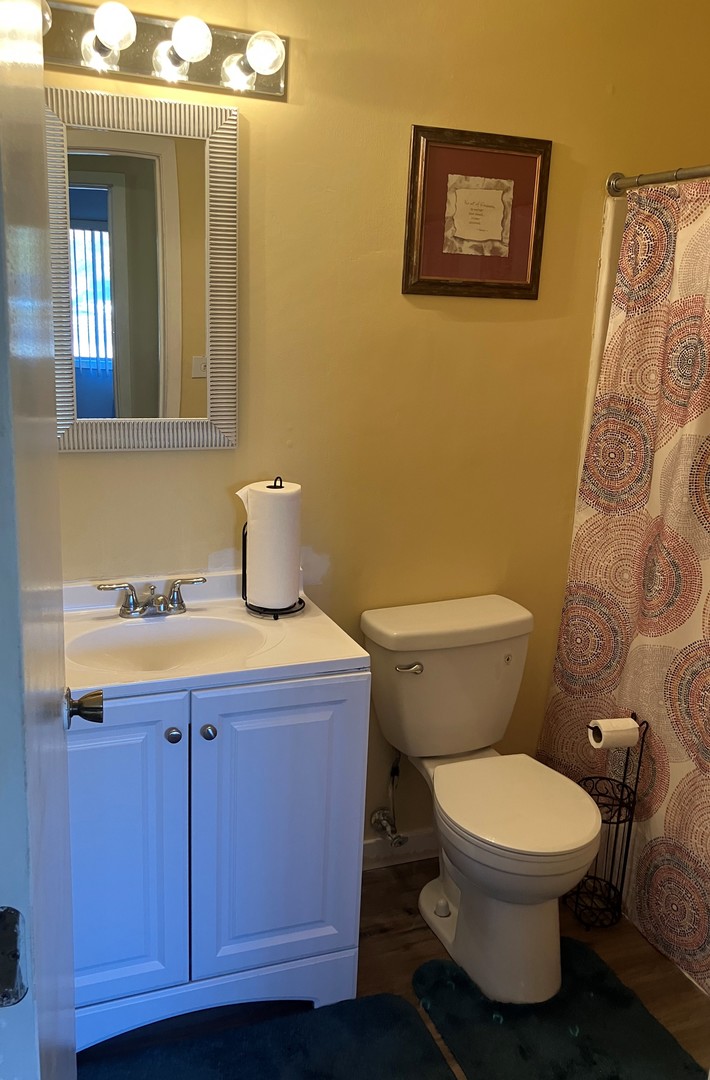 46 Wedgewood Road Matteson, IL 60443 - Photo 6 of 7 a bathroom with a toilet a sink and mirror
