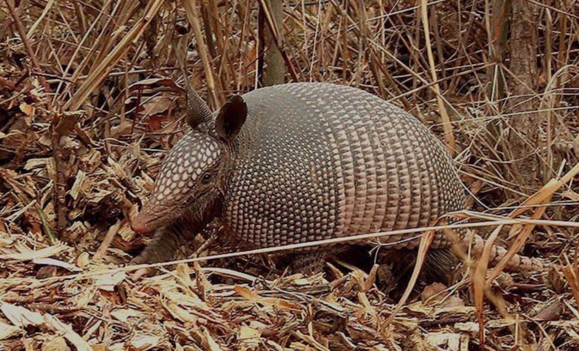 0 New Herman Road Fayetteville, TN 37334 - Photo 12 of 32 a close up of a shower