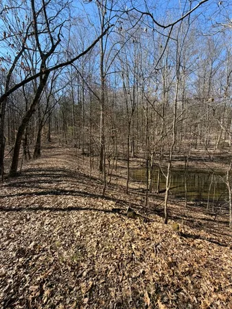 a view of outdoor space with lots of trees
