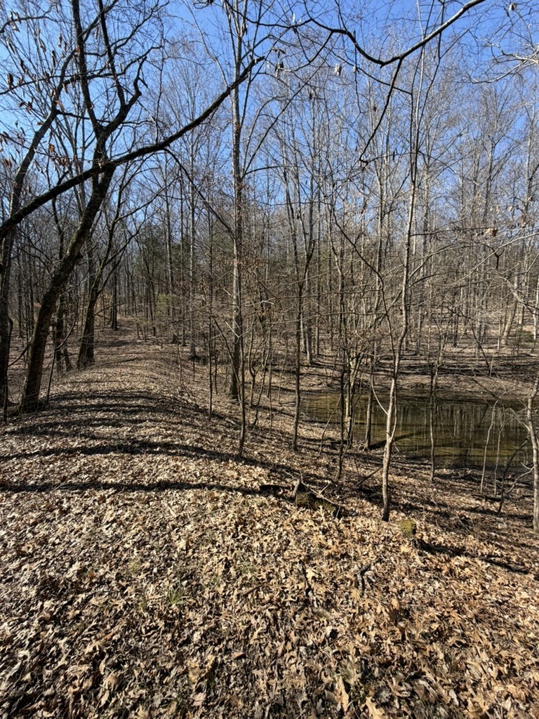 0 New Herman Road Fayetteville, TN 37334 - Photo 17 of 32 a backyard of a house with lots of green space