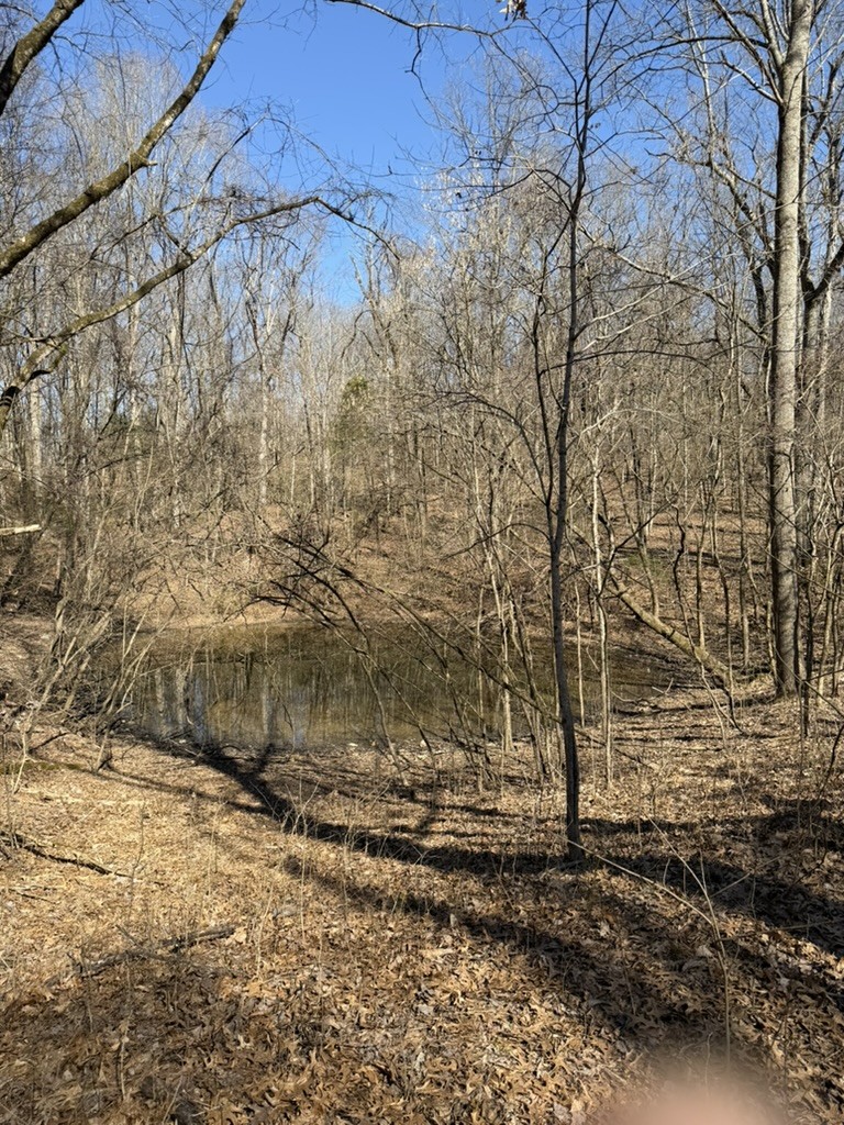 0 New Herman Road Fayetteville, TN 37334 - Photo 18 of 32 a view of a yard with wooden fence