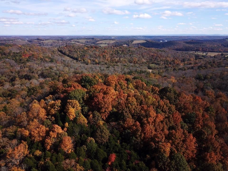 0 New Herman Road Fayetteville, TN 37334 - Photo 2 of 32 a view of city and mountain