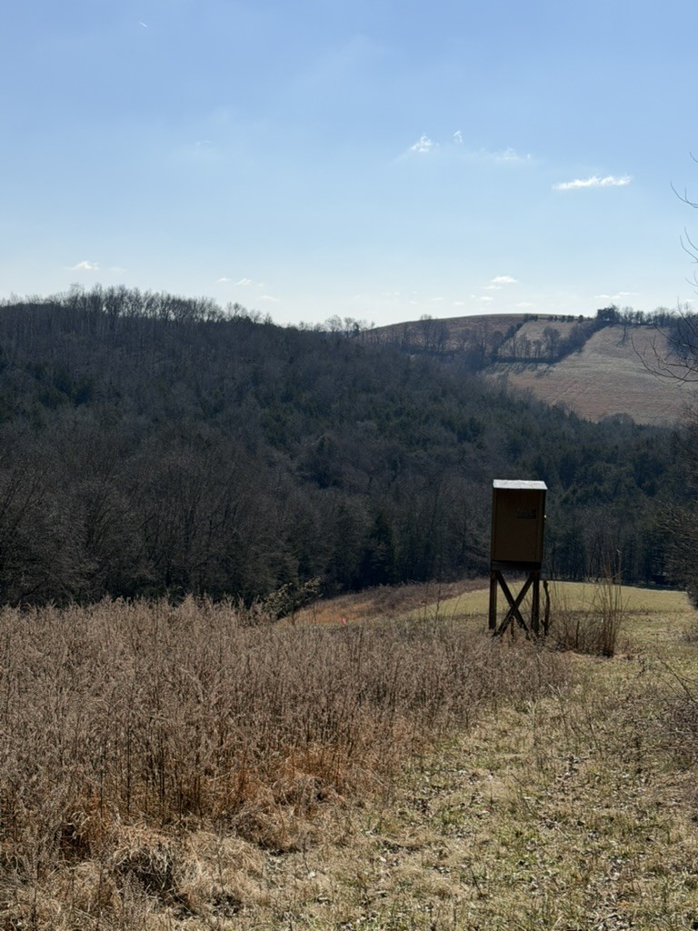 0 New Herman Road Fayetteville, TN 37334 - Photo 24 of 32 a view of a bench in the middle of a lake
