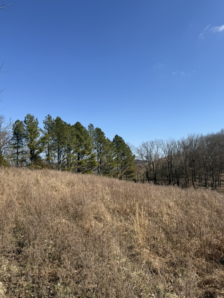 0 New Herman Road Fayetteville, TN 37334 - Photo 25 of 32 a view of mountain with a forest