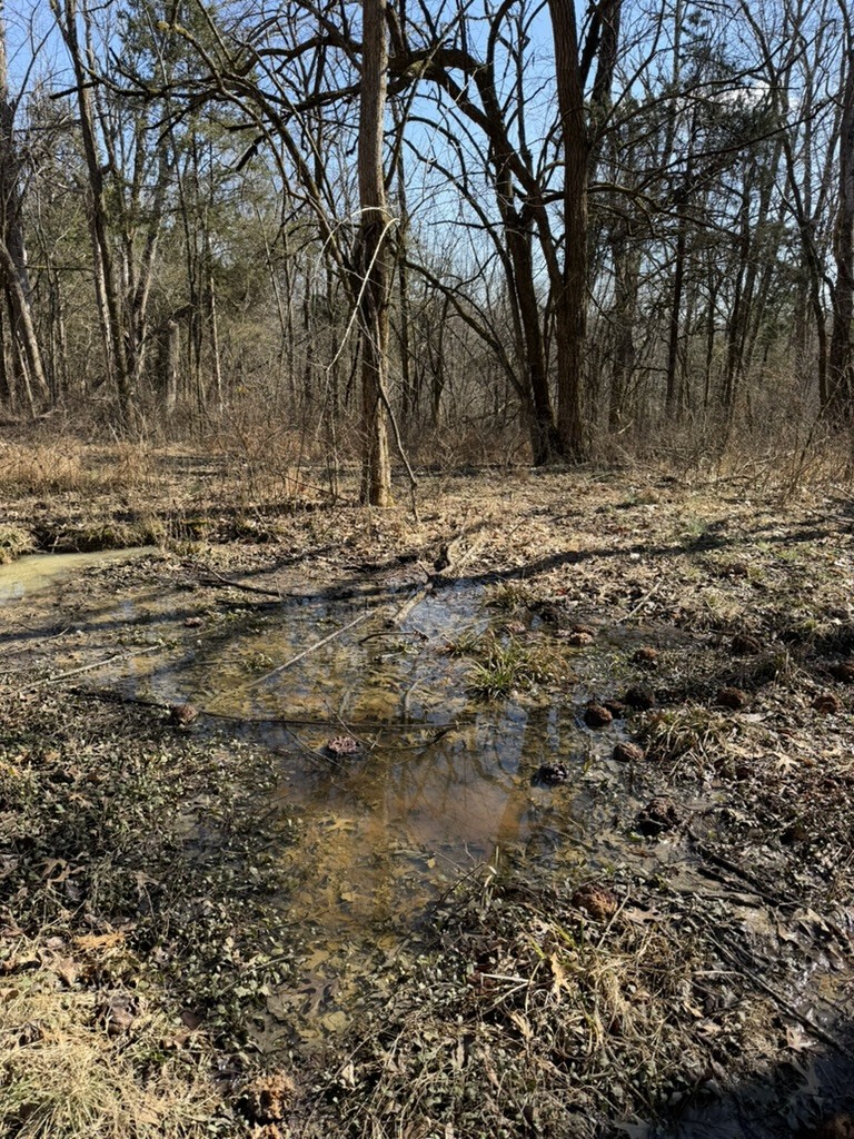 0 New Herman Road Fayetteville, TN 37334 - Photo 27 of 32 a view of covered with wooden fence