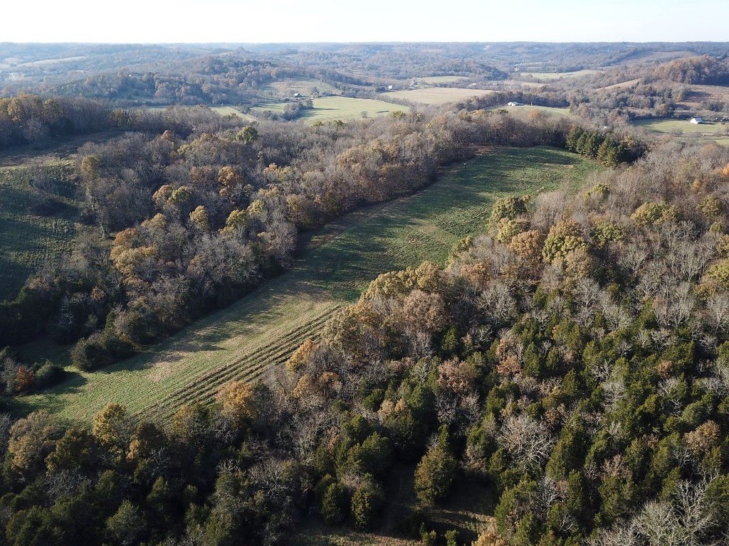 0 New Herman Road Fayetteville, TN 37334 - Photo 3 of 32 a view of a lake with mountain