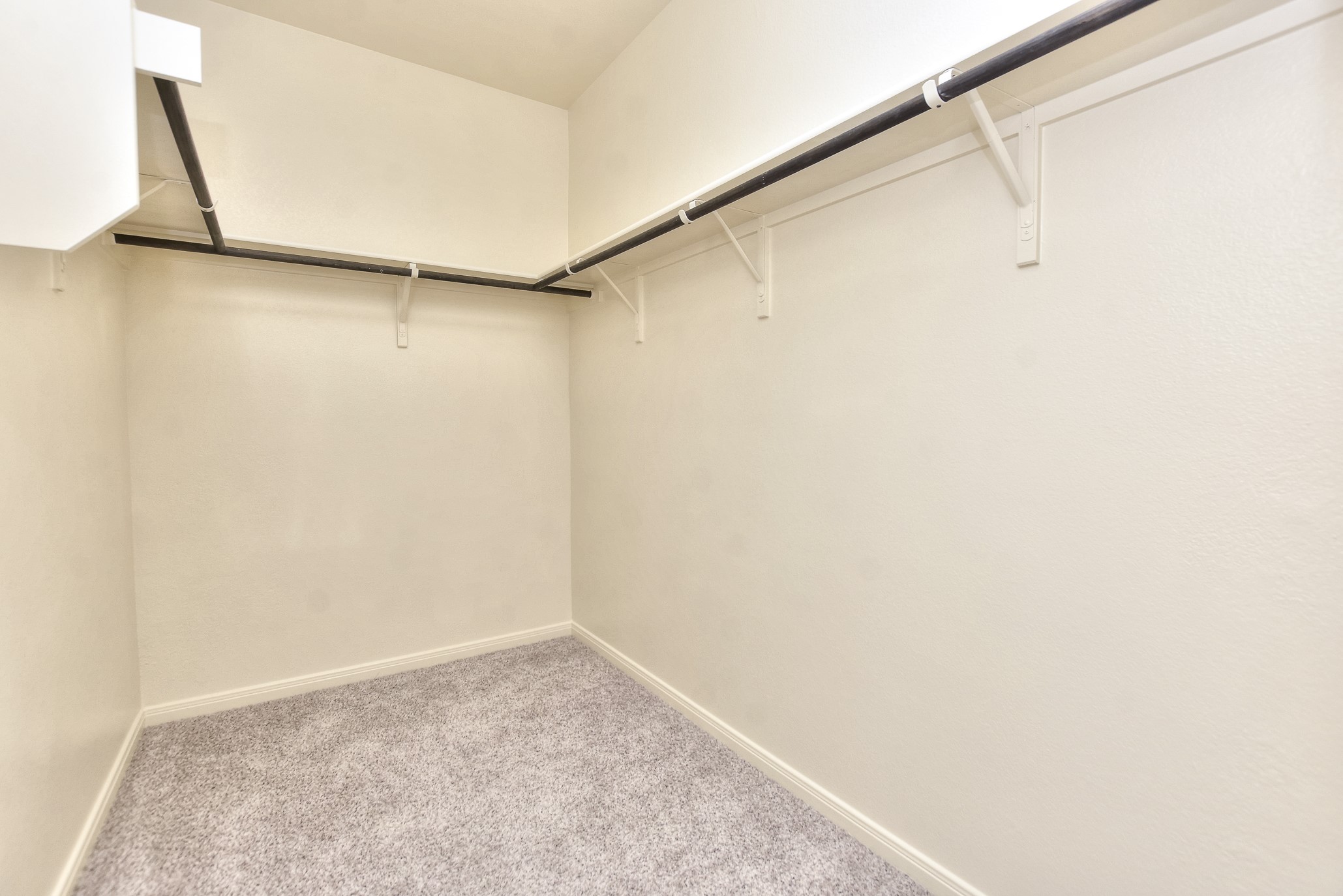 6201 Kildare Drive Georgetown, TX 78626 - Photo 26 of 29 Spacious closet with carpet floors