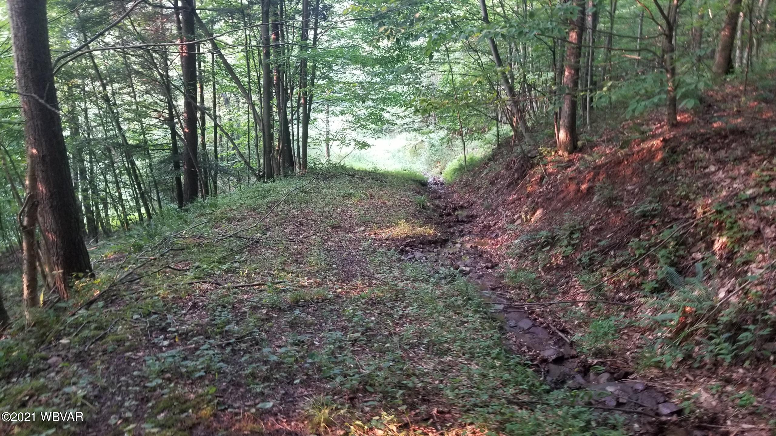 South Lick Creek Road Dushore, PA 18614 - Photo 10 of 18 Gallery Image 10