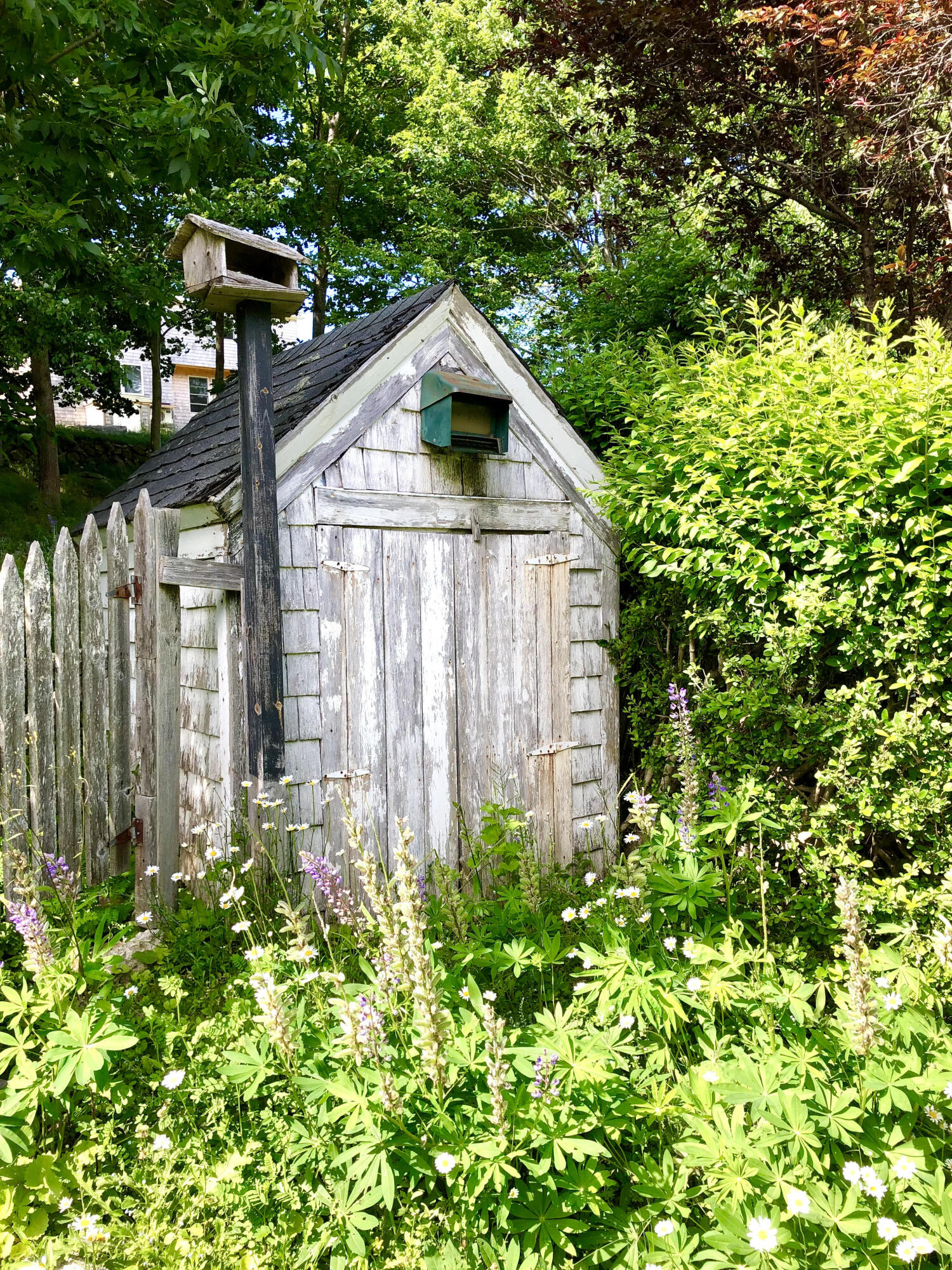 101 Hall Quarry Road Mount Desert, ME 04660 - Photo 51 of 58 Out building