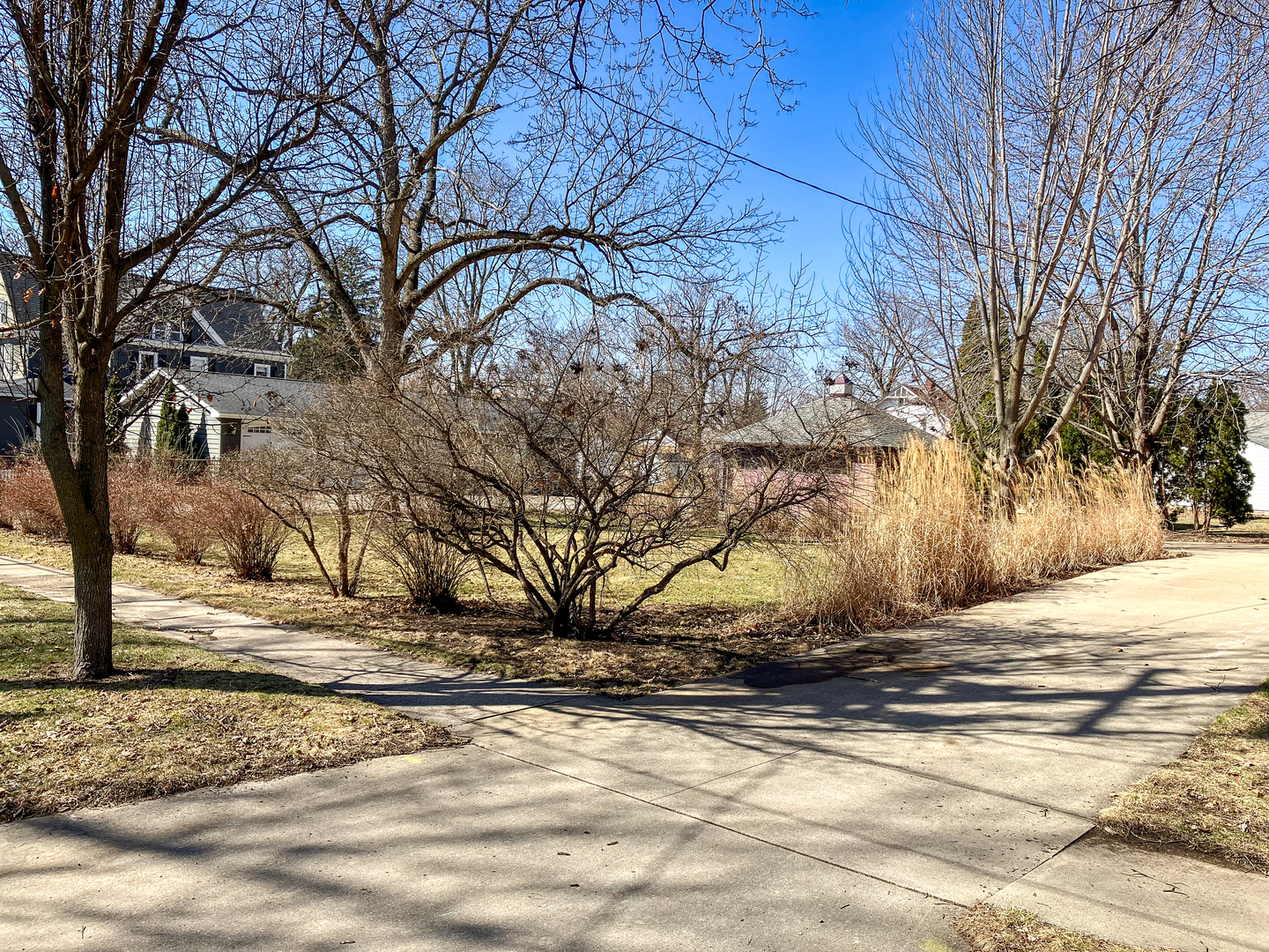 301 South Genesee Street Morrison, IL 61270 - Photo 73 of 83