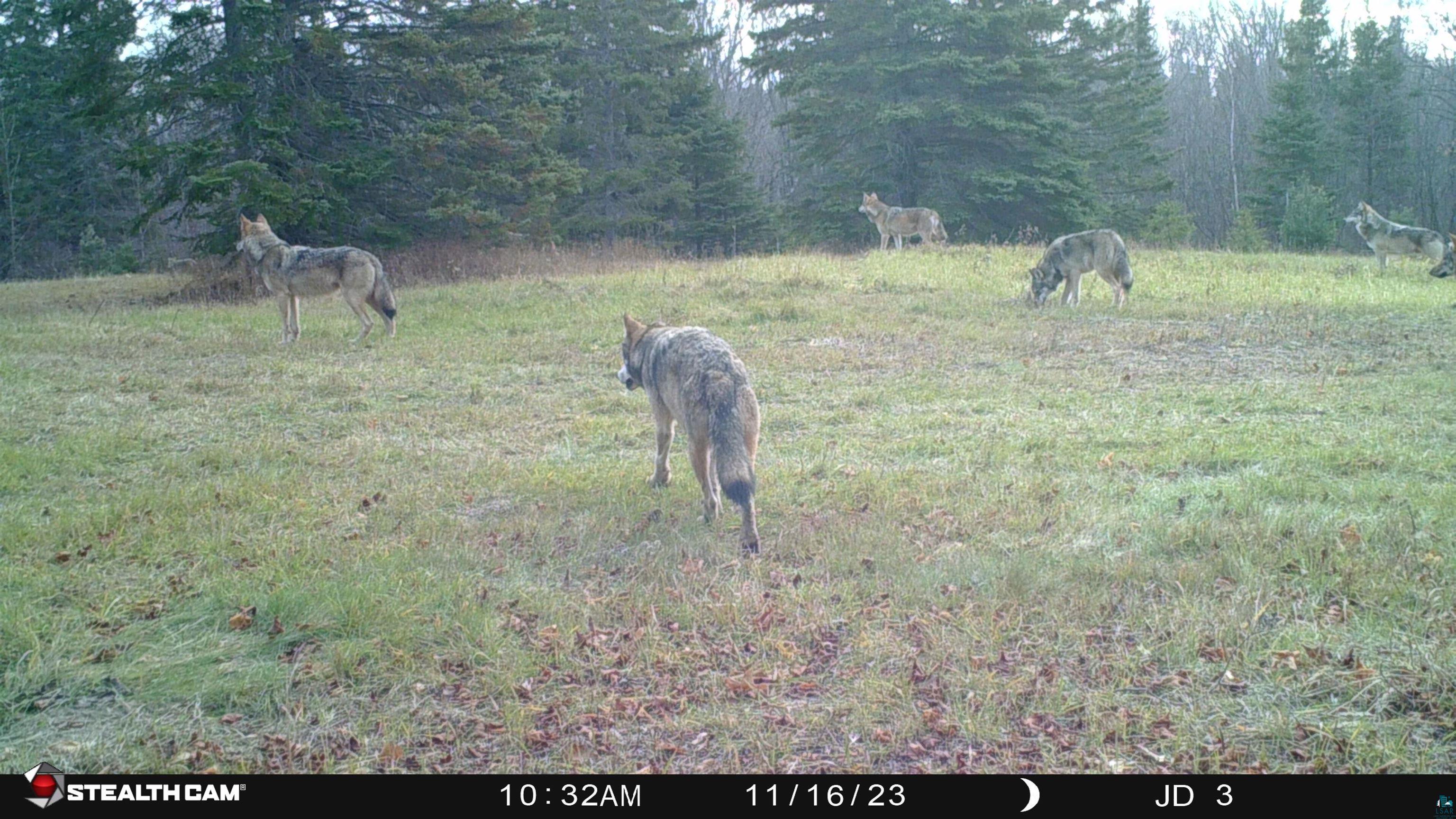 Xxx Springdale Road Tofte, MN 55615 - Photo 12 of 36