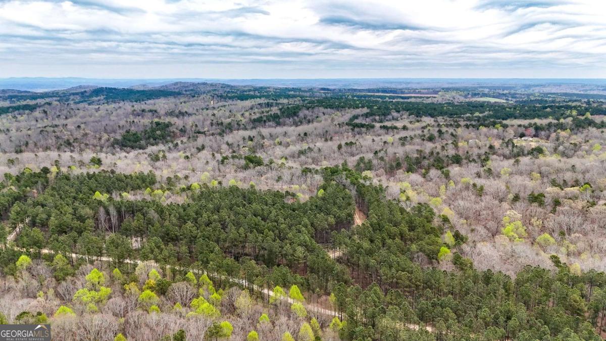 0 Felton Rockmart Road Buchanan, GA 30113 - Photo 45 of 47