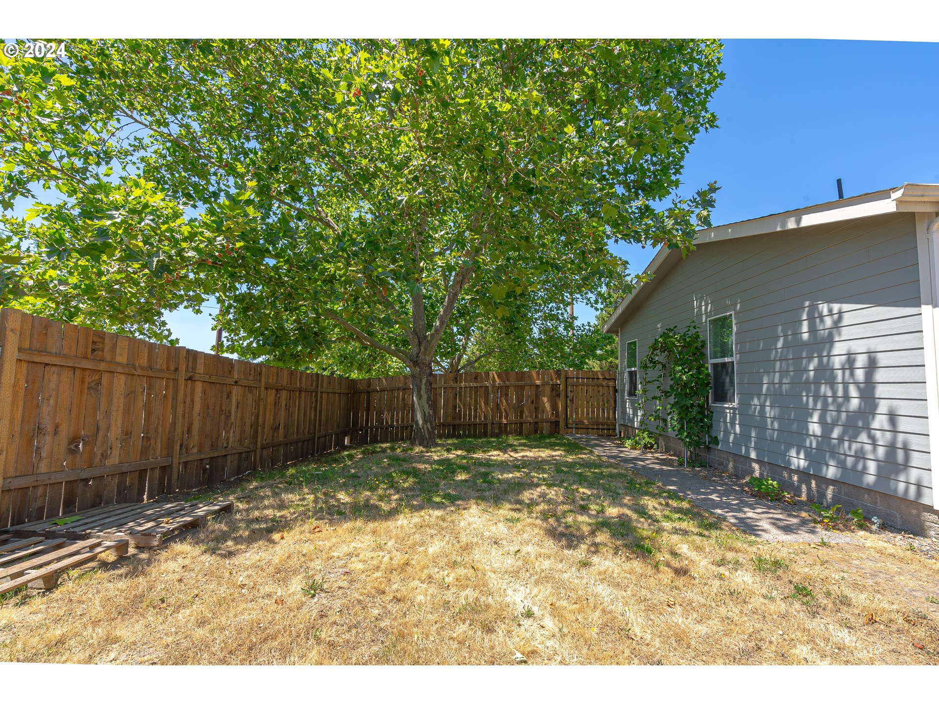 710 North Howe Street Carlton, OR 97111 - Photo 27 of 31 a view of a backyard with plants and wooden fence