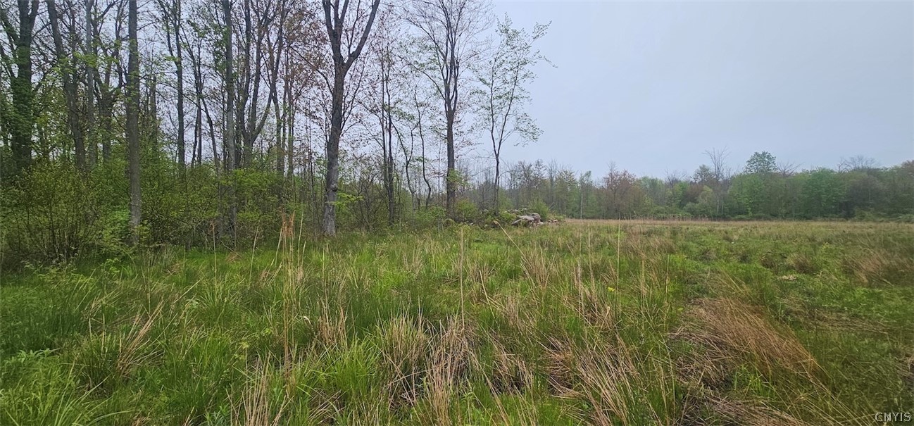 Rotterdam Road Sodus, NY 14551 - Photo 24 of 25