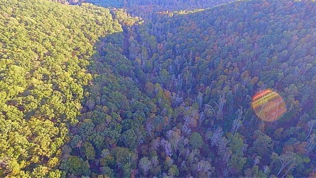 1 Big Run Road Wallingford, KY 41093 - Photo 5 of 15 Photo 5