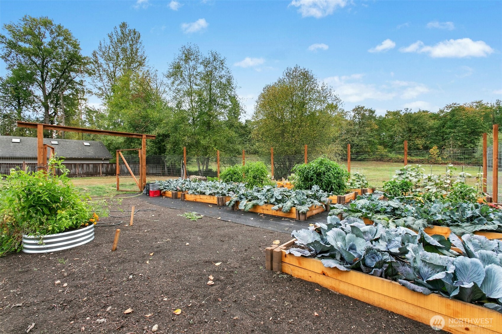 13020 172nd Avenue Southeast Renton, WA 98059 - Photo 35 of 40 a garden view