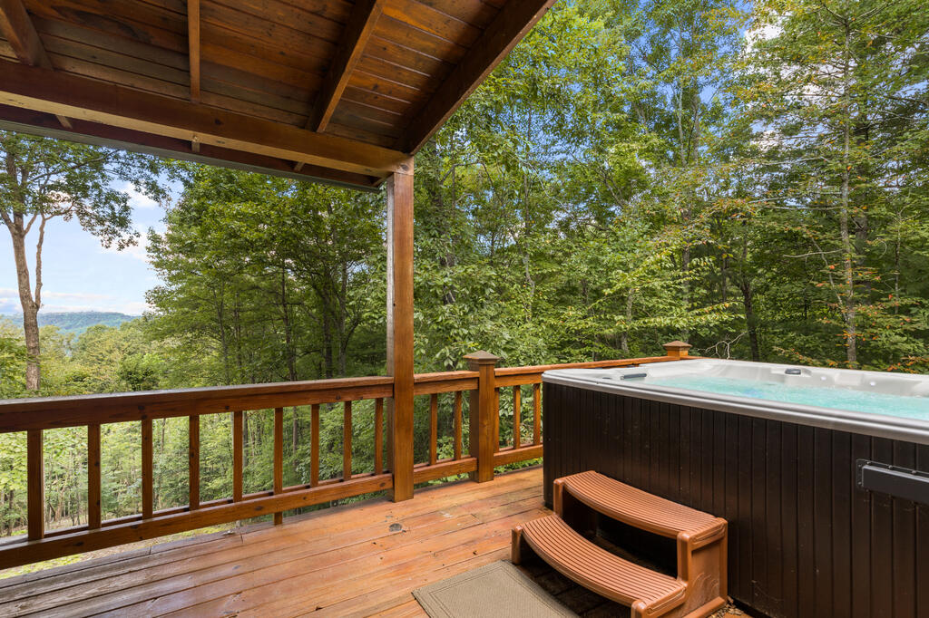 1600 My Mountain Road Morganton, GA 30560 - Photo 31 of 48 Gallery Image 31