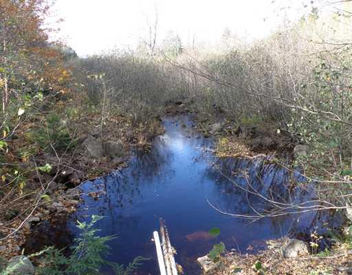 Lot 8 Warden Hill Road Springfield, ME 04487 - Photo 7 of 25 Land/Lot. Stream along boundary line