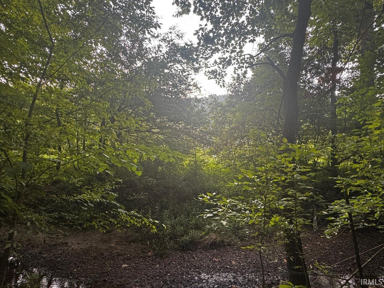 Tbd North Ferry Road Bloomfield, IN 47424 - Photo 3 of 6