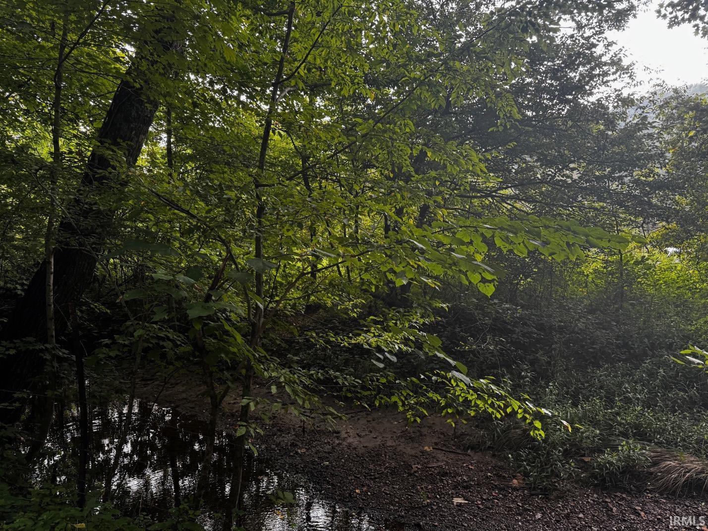 Tbd North Ferry Road Bloomfield, IN 47424 - Photo 4 of 6