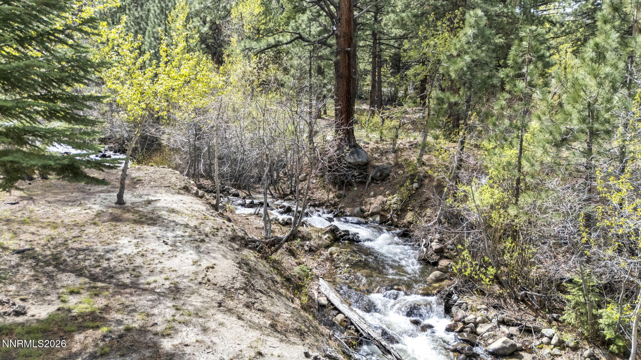 1300 Douglas Fir Drive Reno, NV 89511 - Photo 4 of 38 Creek