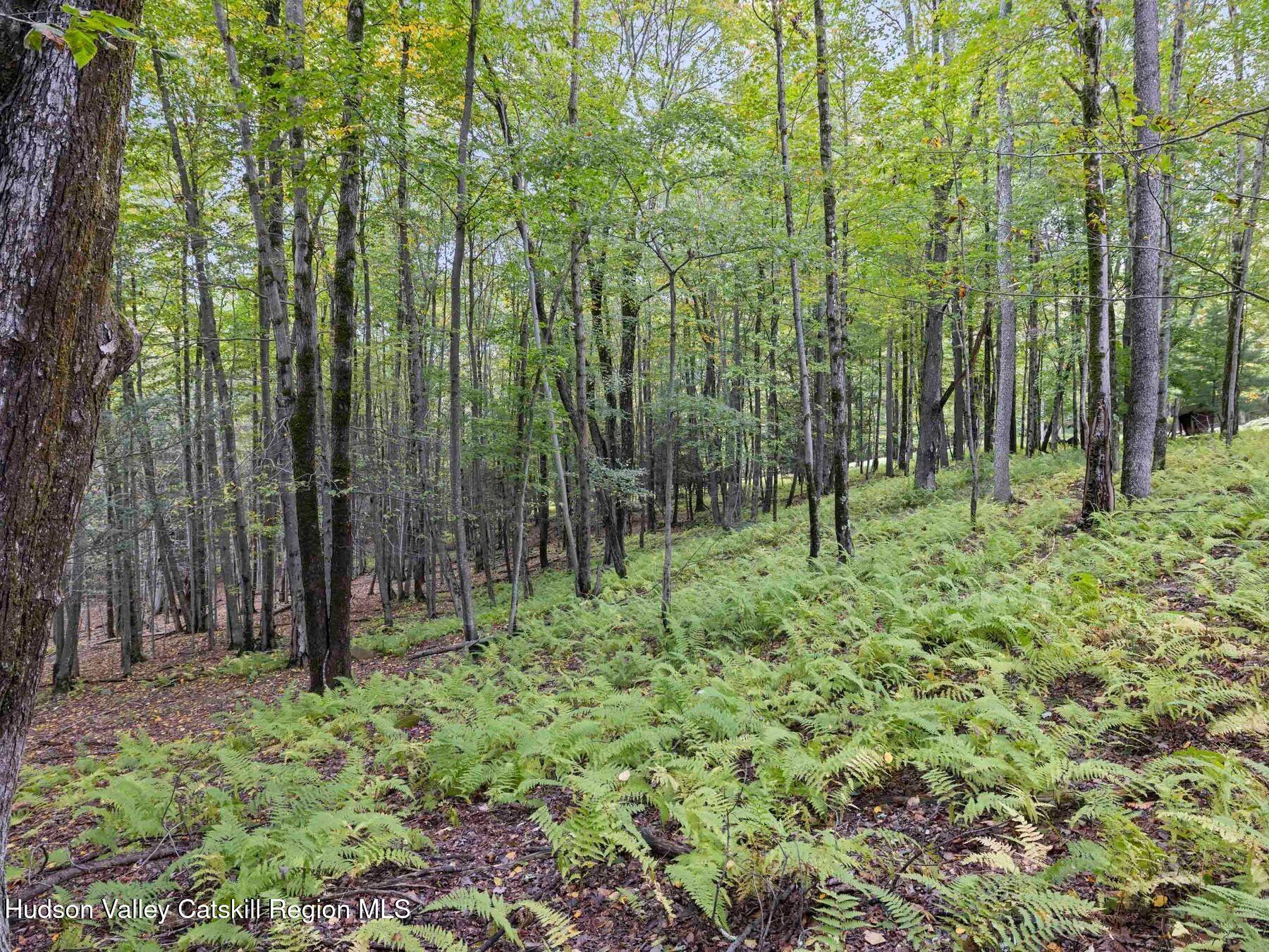 376 Cypert Road Woodbourne, NY 12788 - Photo 34 of 34 cy19