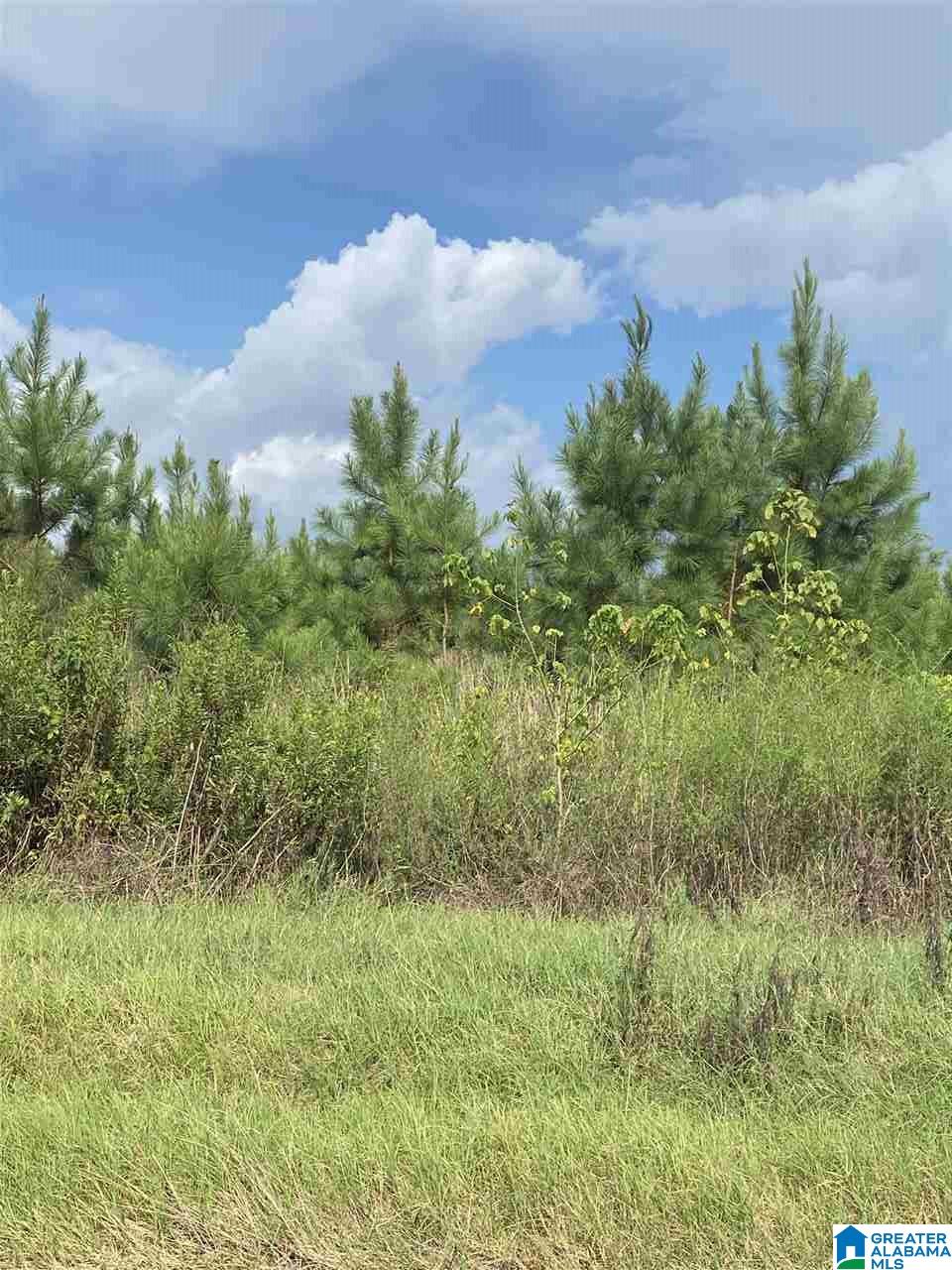 Corner School Road Warrior, AL 35180 - Photo 4 of 11