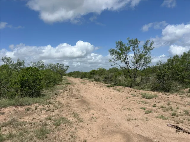 a view of a dry yard covered with snow in the background
