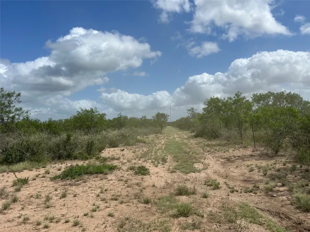 a view of a big yard with lots of green space