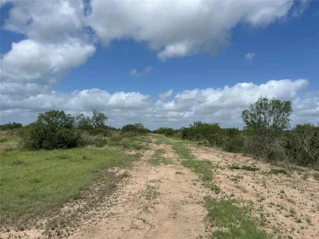 a view of a yard with an outdoor space