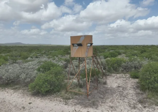 a view of a dry yard with wooden fence