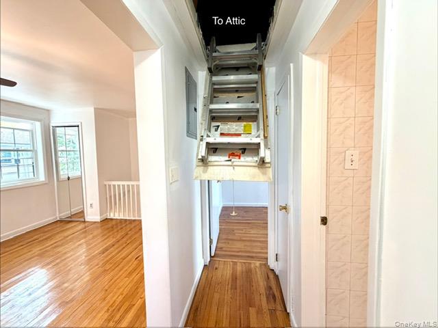 65-26B 223rd Place, Unit 2 Queens, NY 11364 - Photo 23 of 30 pull down stairs to Attic storage space