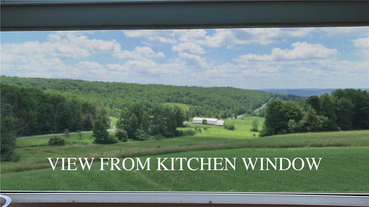 667 Boos Law Road Smyrna, NY 13464 - Photo 7 of 50