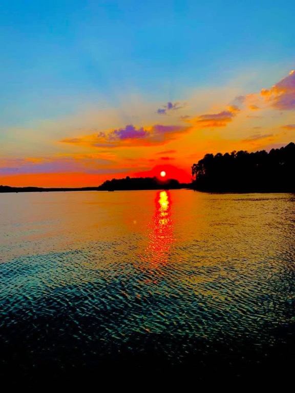 720 Lakeside Drive Anderson, SC 29621 - Photo 34 of 34