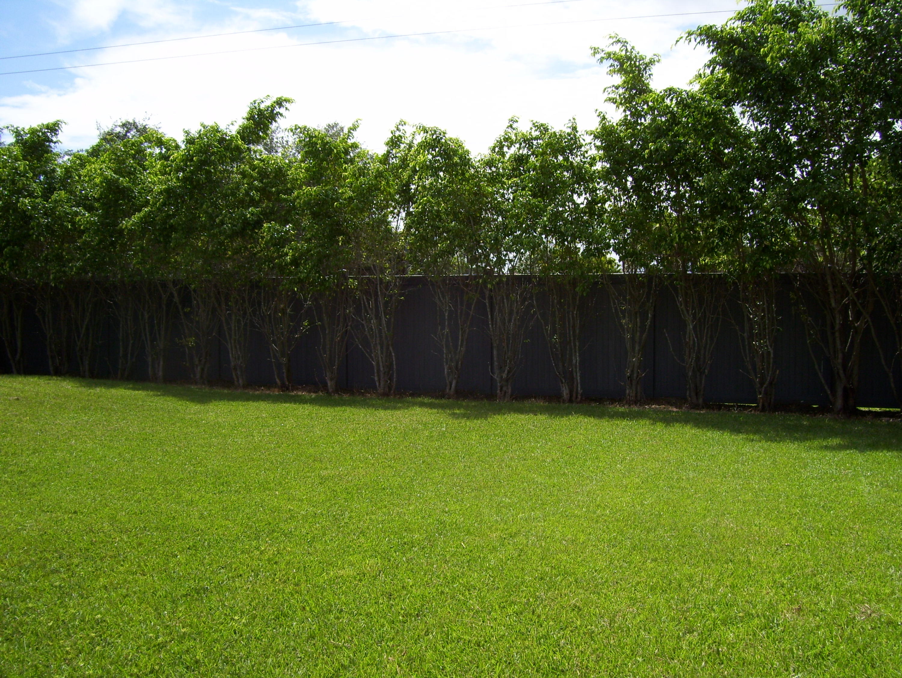 152 Banyan Circle Jupiter, FL 33458 - Photo 17 of 21 Fenced Backyard